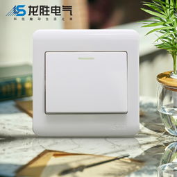 中國(guó)大陸墻面開(kāi)關(guān)市場(chǎng)概述 質(zhì)量、選擇與選購(gòu)指南